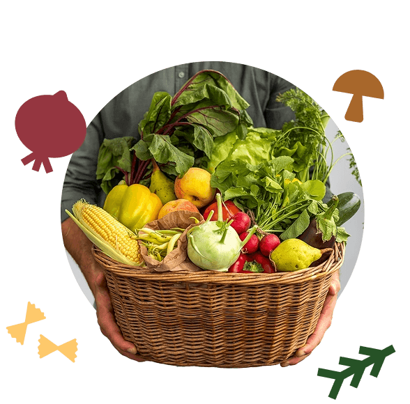 Kosz warzyw i owoców