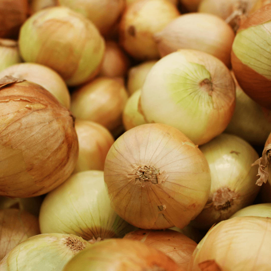 Cebula 1000 g