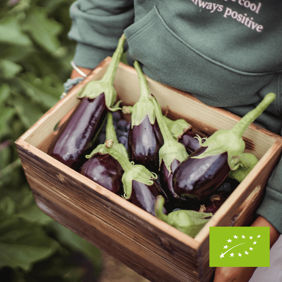 Bakłażan świeży EKO ok. 400 g