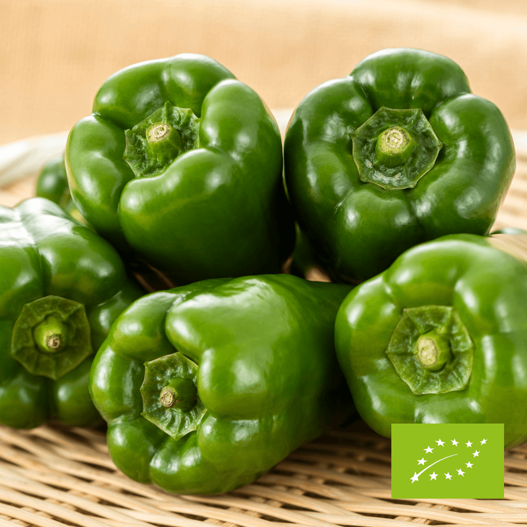 Papryka zielona EKO (import) ok. 400 g