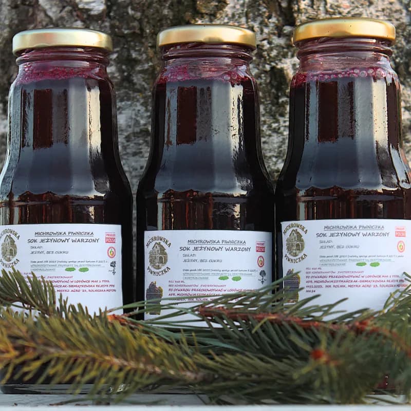 Sok jeżynowy EKO 310 ml