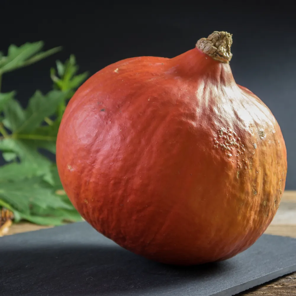 Dynia Hokkaido EKO 1 szt.