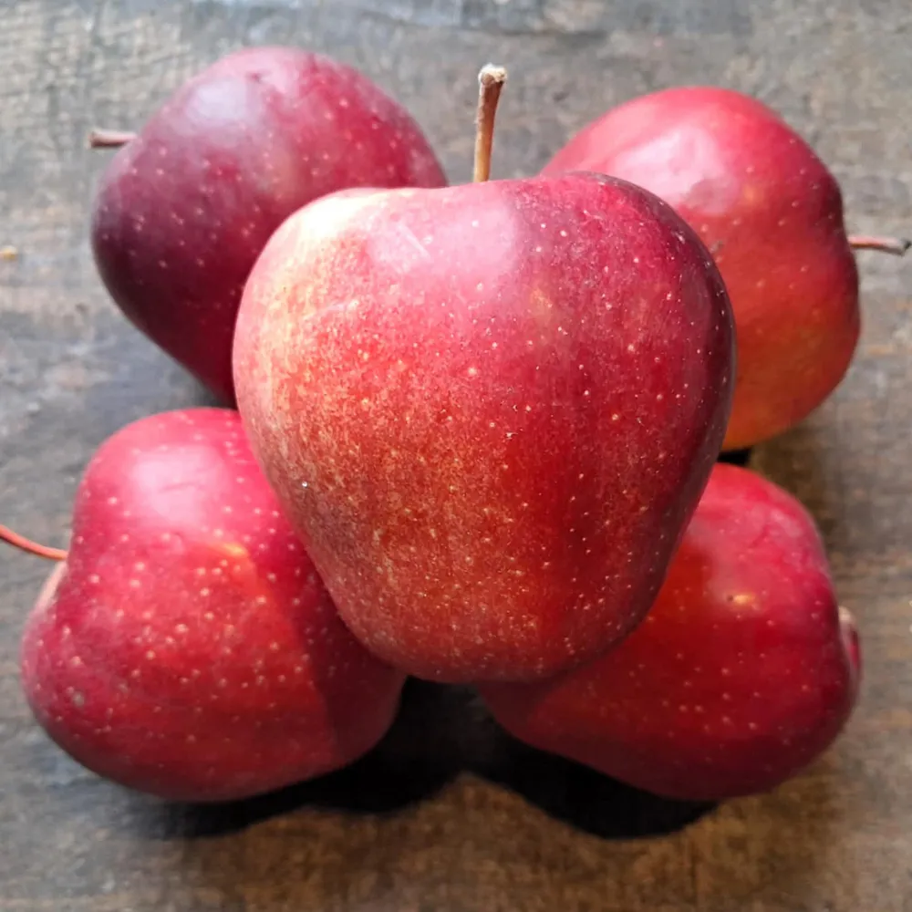 Jabłka Gloster EKO 3000 g