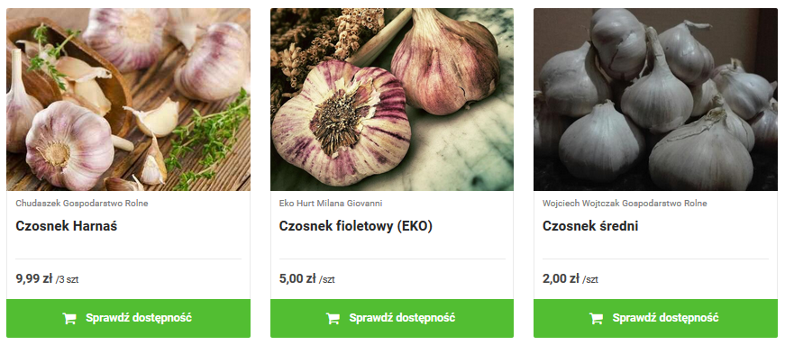 czosnek2
