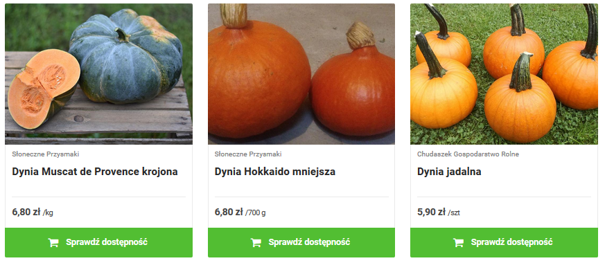 dynia1