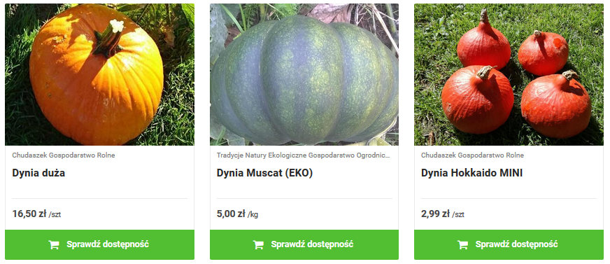 dynia2