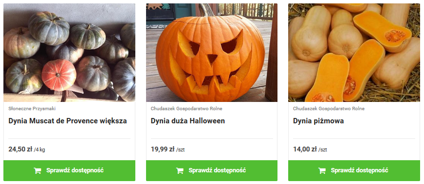 dynia3