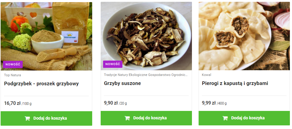 grzyby