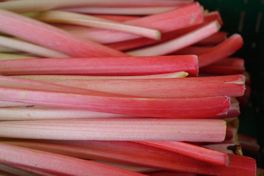 dieta sezonowa
