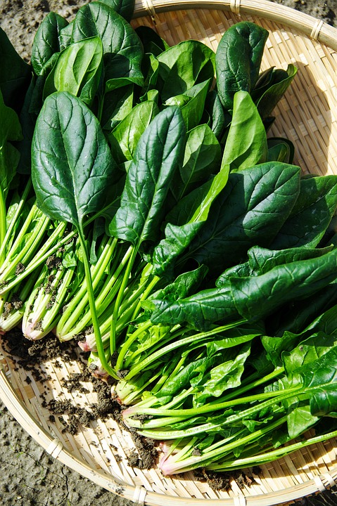 dieta sezonowa
